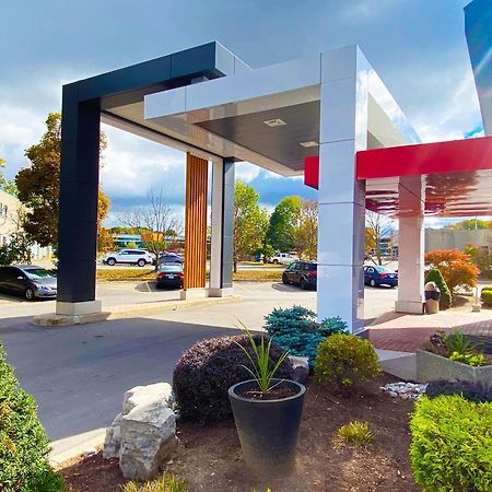 Comfort Inn Dryden Bagian luar foto