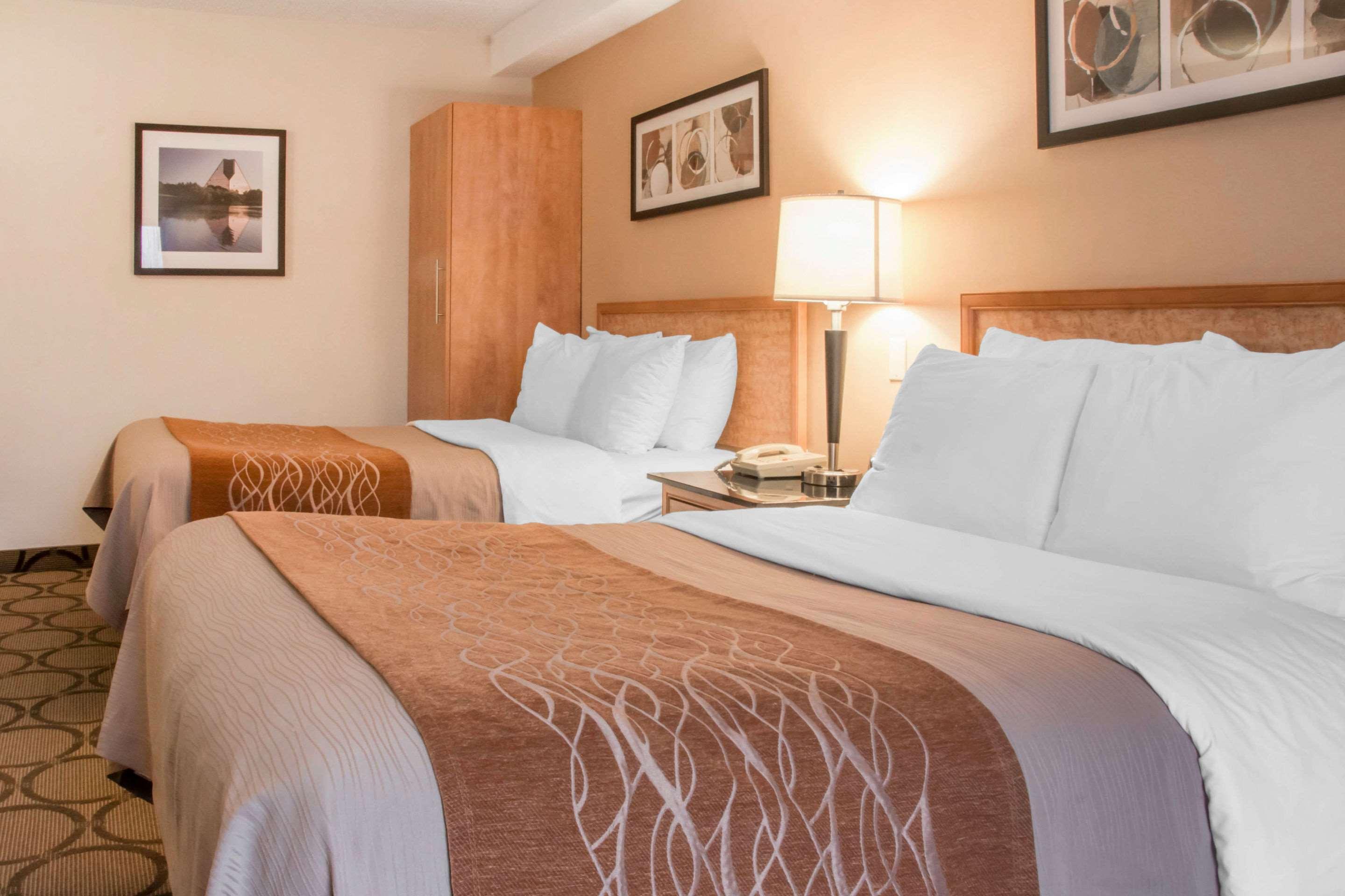 Comfort Inn Dryden Bagian luar foto