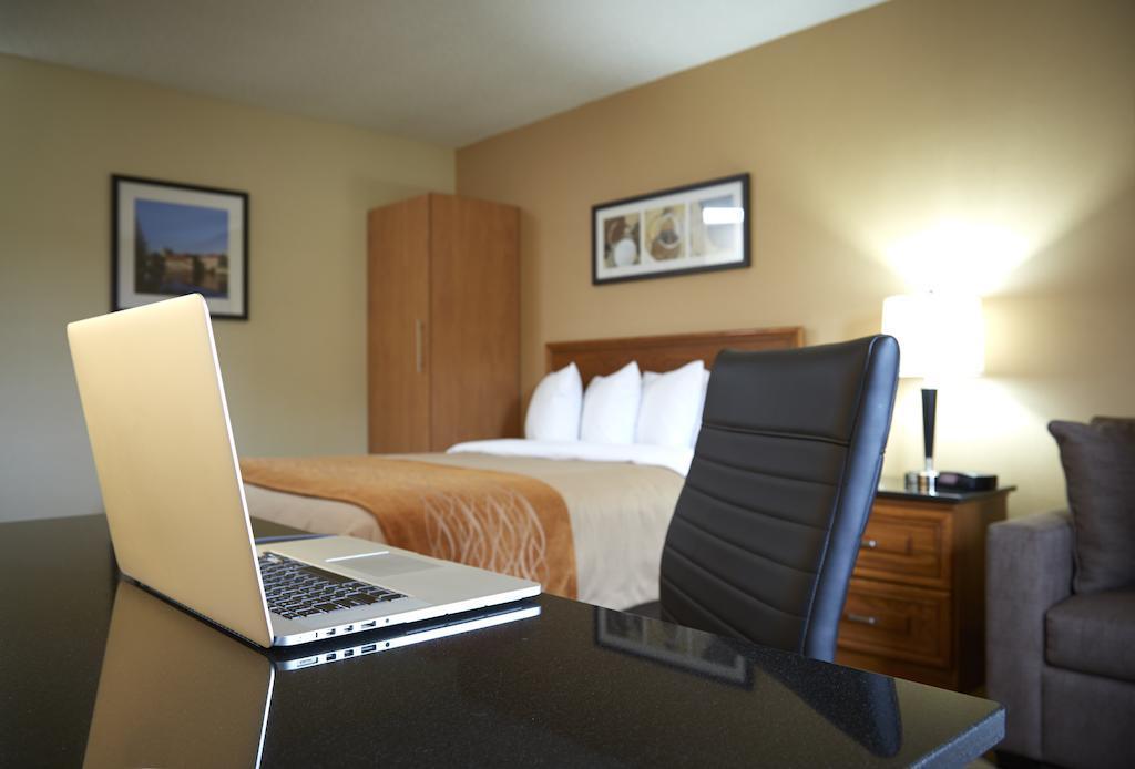 Comfort Inn Dryden Bagian luar foto