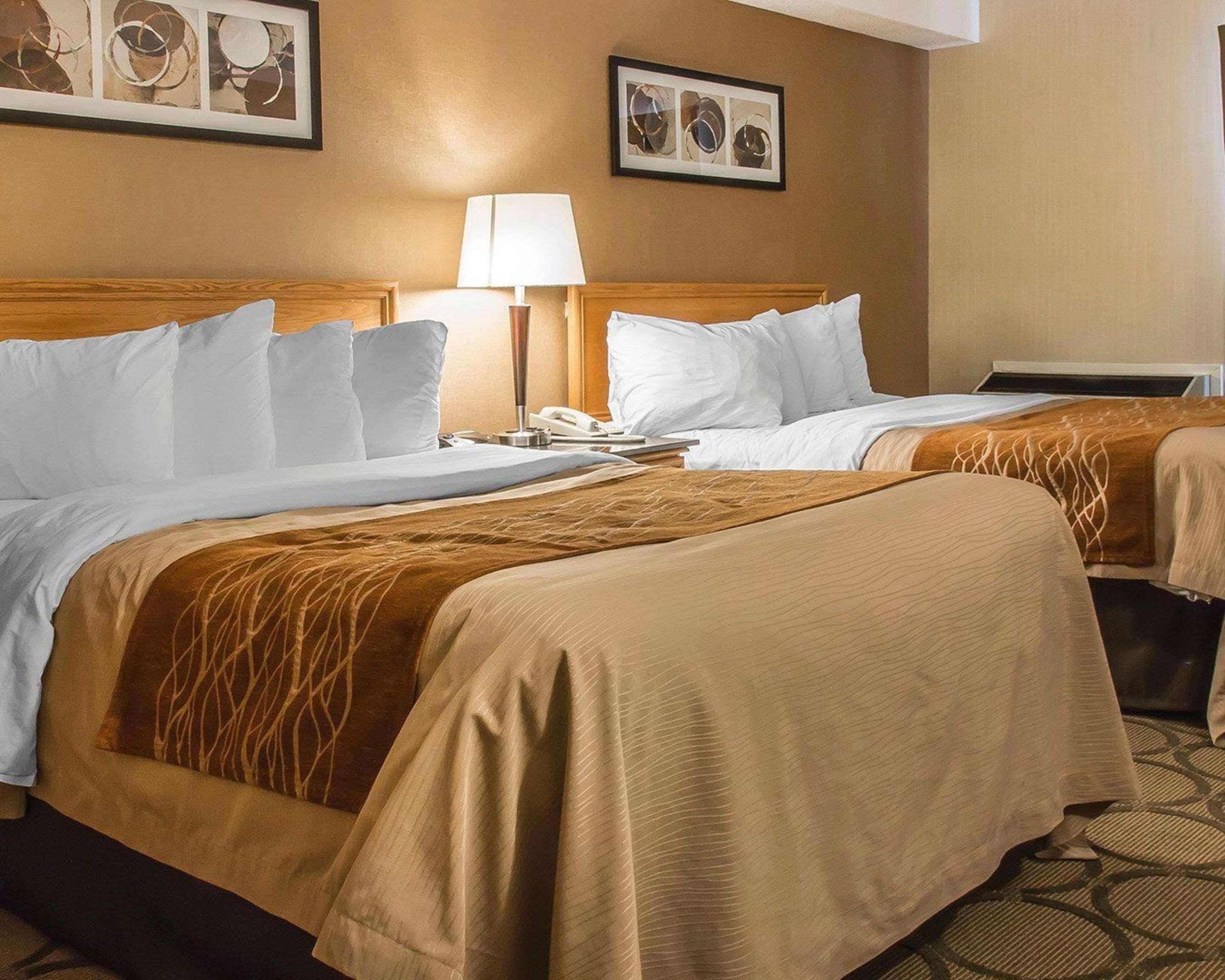 Comfort Inn Dryden Bagian luar foto